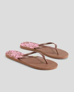 Flip Flops*Roxy Viva Printed Thongs Tiramisu