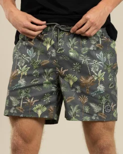 Board Shorts|Shorts & Bottoms*Jacks Wasteland Elastic Waist Shorts Charcoal