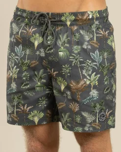 Board Shorts|Shorts & Bottoms*Jacks Wasteland Elastic Waist Shorts Charcoal