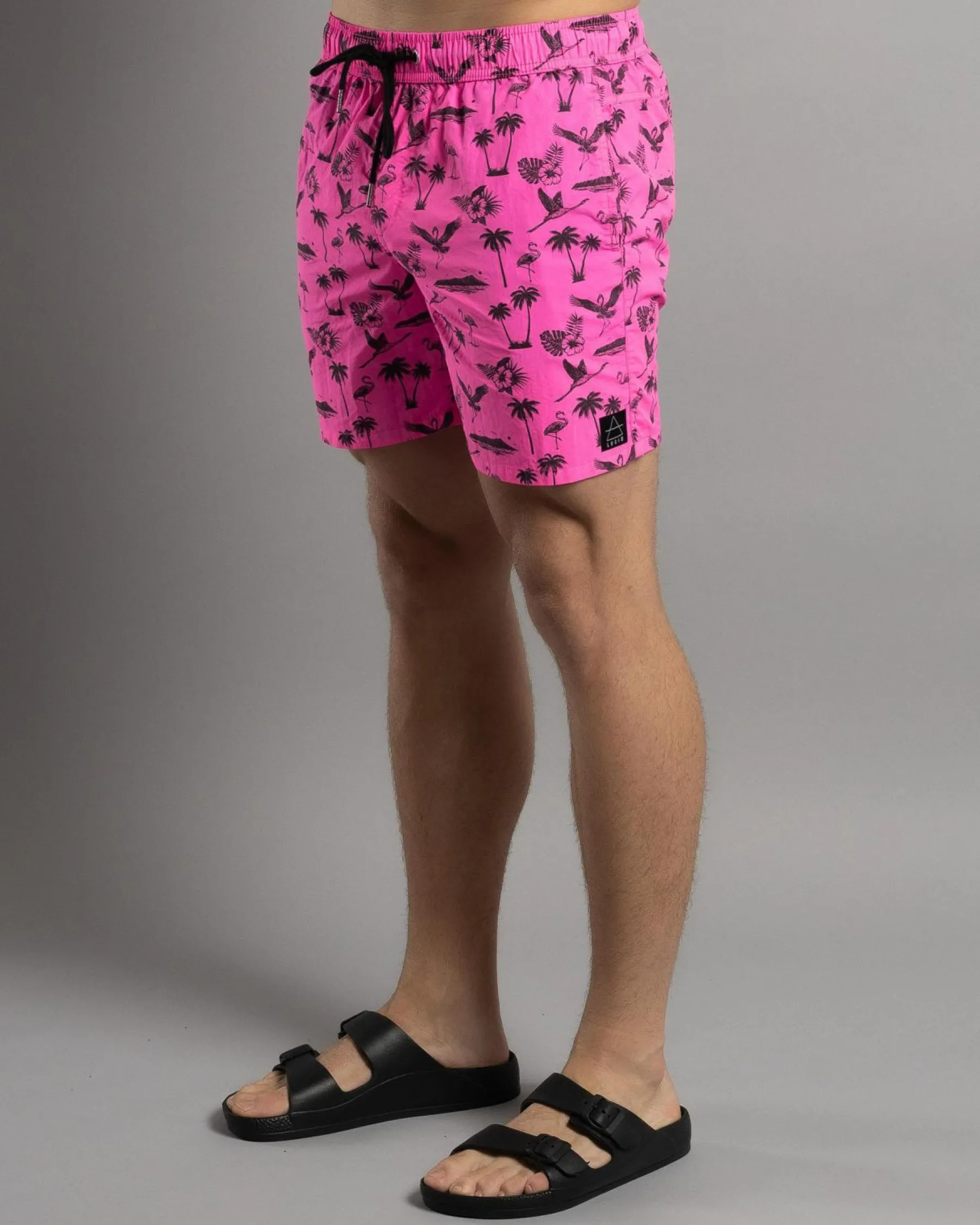 Outlet Wayfinder Elastic Waist Shorts Shorts & Bottoms